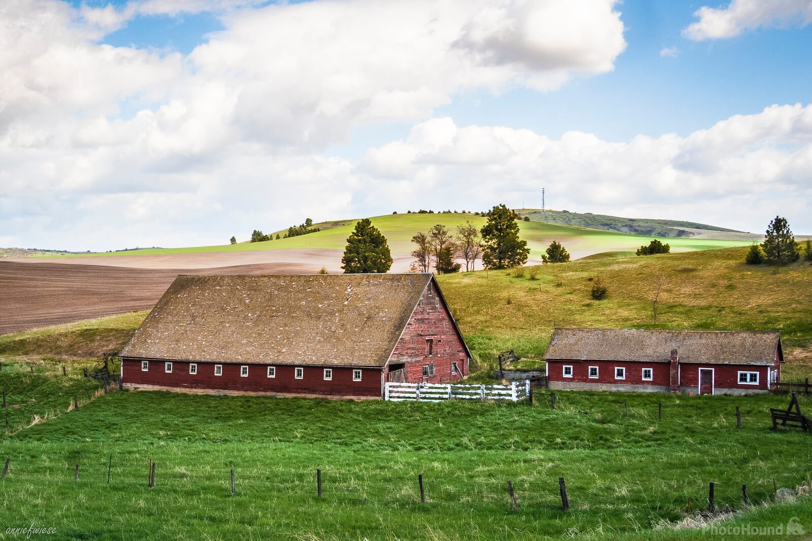Image of Busby-Johnson Road Barns by Annie Wiese