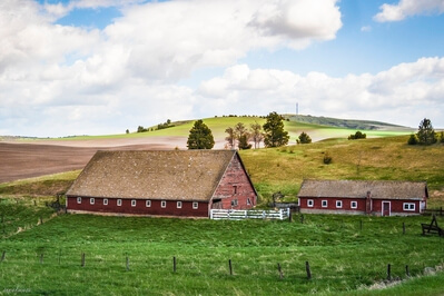 images of Palouse - Busby-Johnson Road Barns
