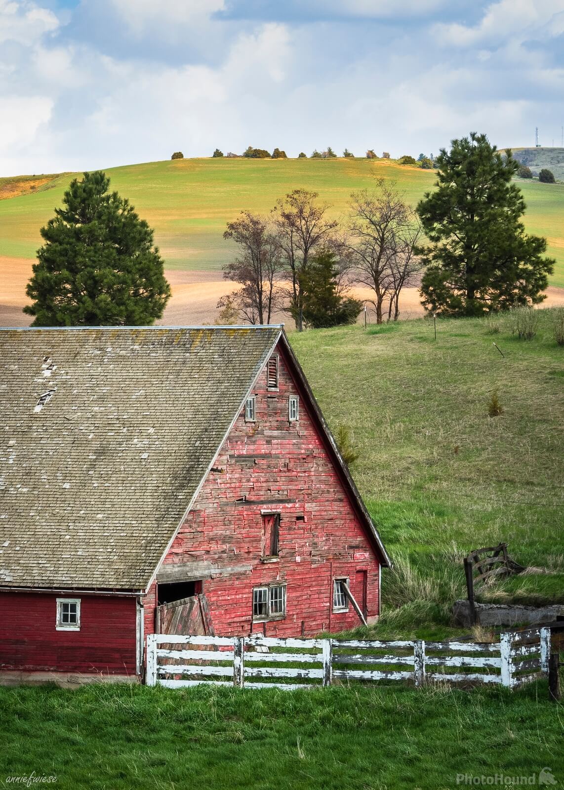 Image of Busby-Johnson Road Barns by Annie Wiese