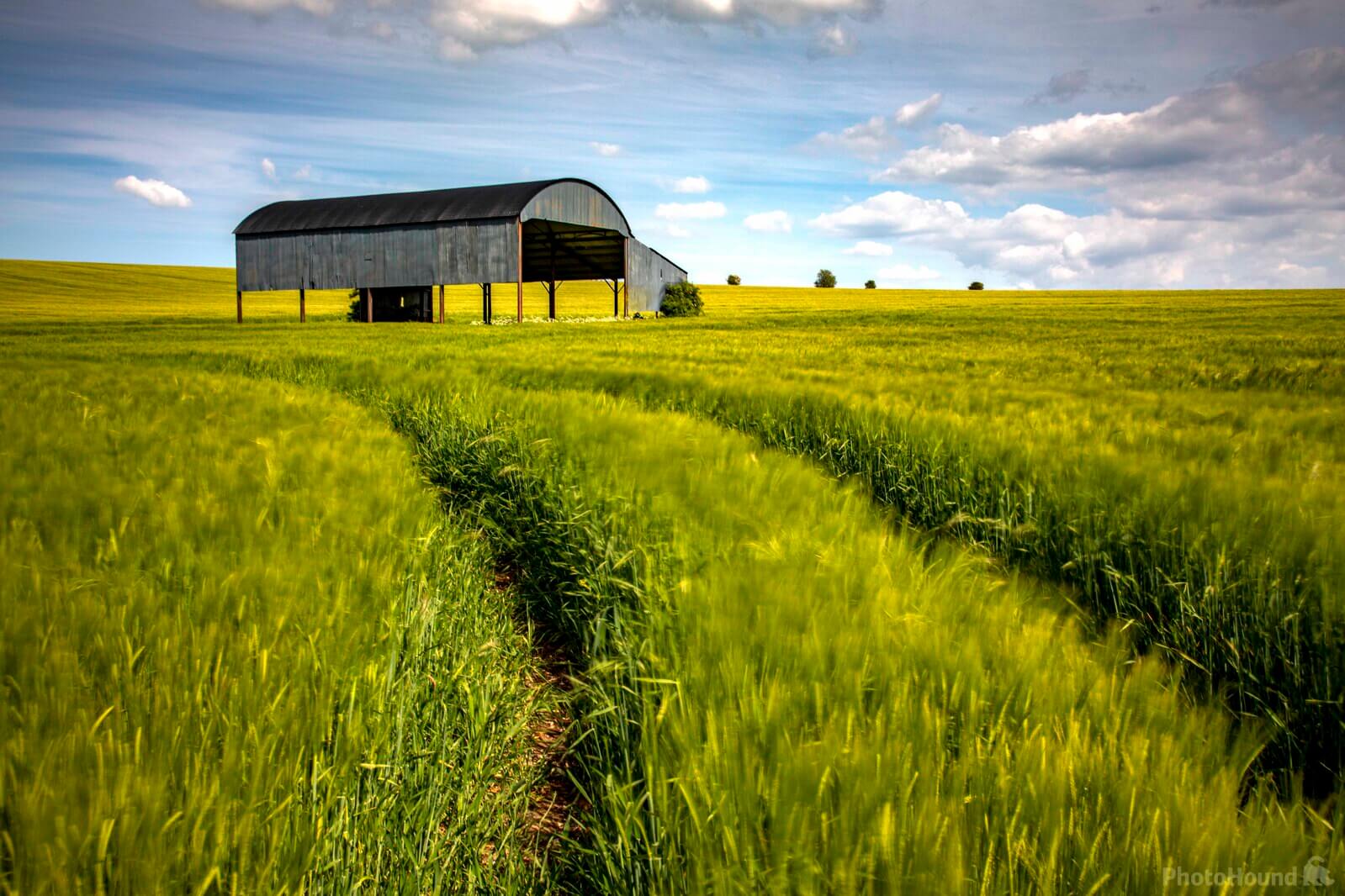 Image of   The Barn at Sixpenny Handley by Steve Gunter