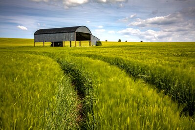 Picture of   The Barn at Sixpenny Handley -   The Barn at Sixpenny Handley