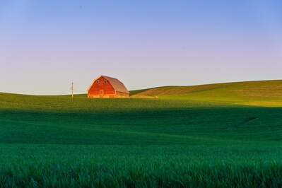 pictures of Palouse - Red Barn on hill above Oakesdale Road