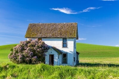 pictures of Palouse - Walters Road Old House