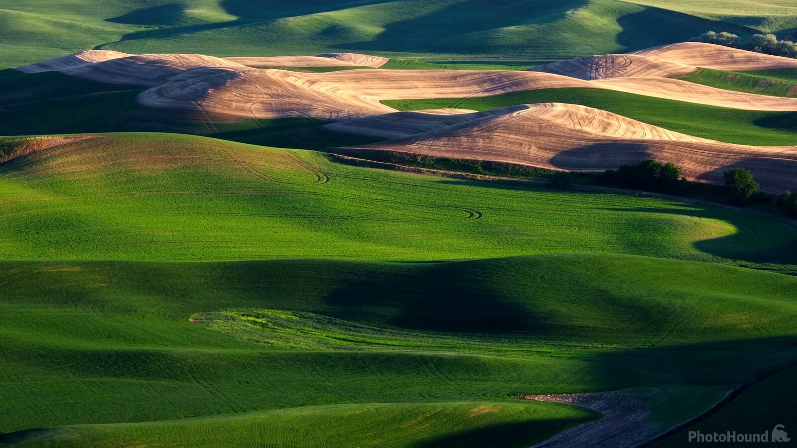 Image of West Steptoe Butte Viewpoint by John Cop
