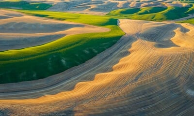 images of Palouse - Repp Road Viewpoint