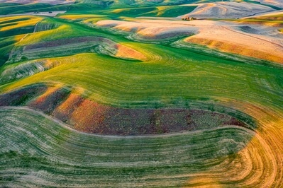 pictures of Palouse - Repp Road Viewpoint
