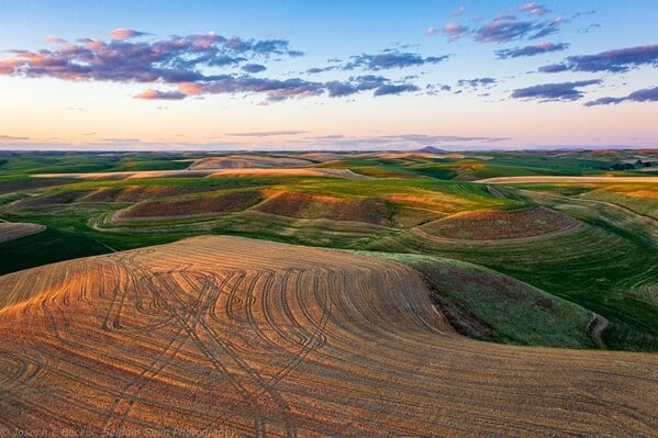 looking north from Repp Road toward Steptoe Butte from northern viewpoint, shot with drone