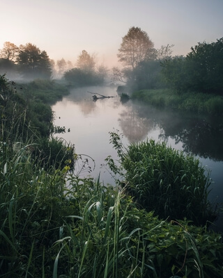 Misty Świder River