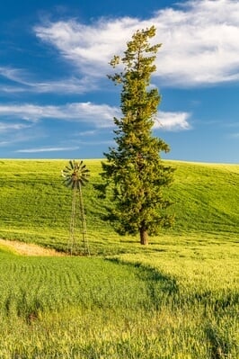 photos of Palouse - CJ Ochs Windmill and Lone Tree