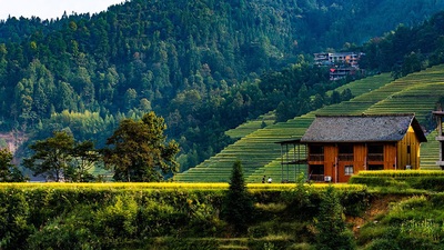 China pictures - Longji Terraced Fields
