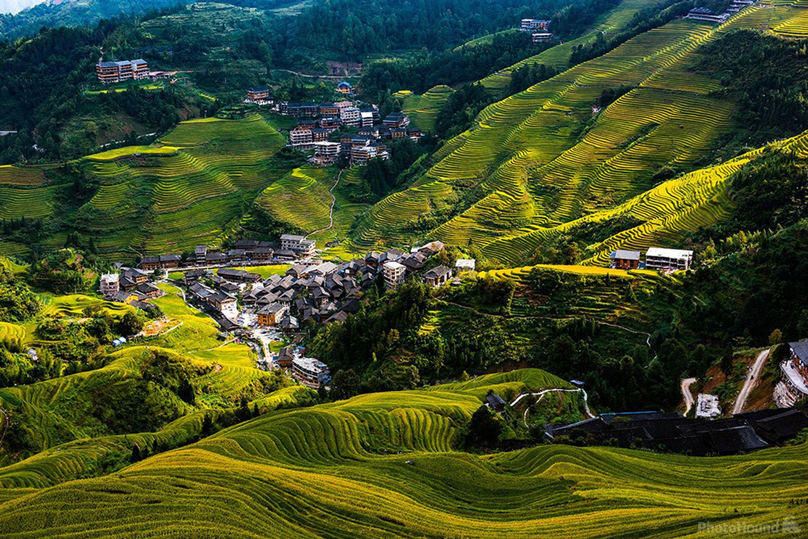 Image of Longji Terraced Fields by Mercier Zeng