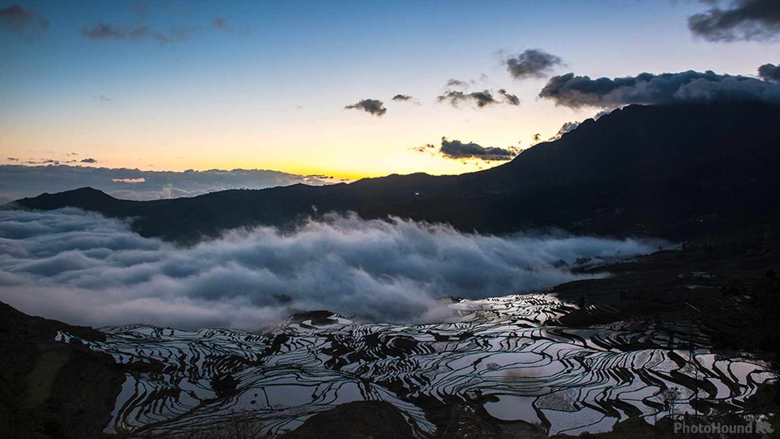 Image of Yuanyang Rice Terraces by Mercier Zeng