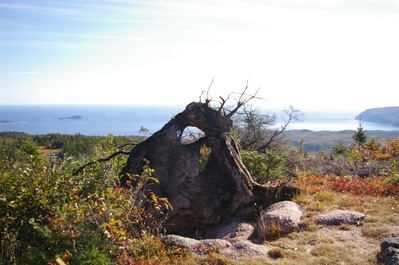 Photo of Cape Breton Highlands - Franey Trail - Cape Breton Highlands - Franey Trail