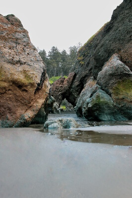 pictures of Olympic National Park - Beach 4