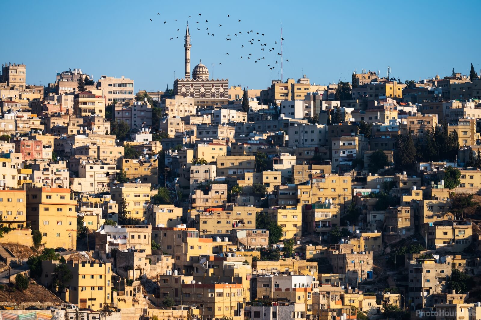 Image of Amman Citadel by Anas Qarman