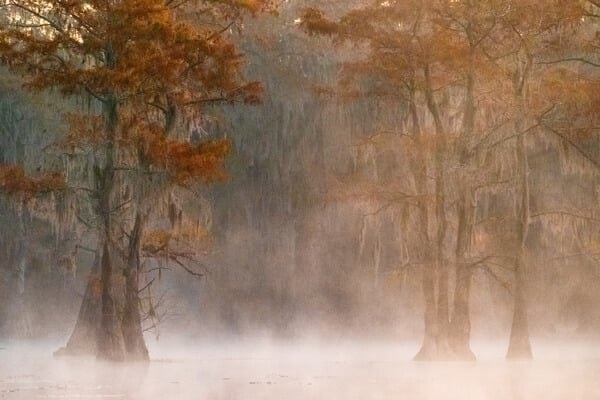 Early morning mist rising from Caddo Lake