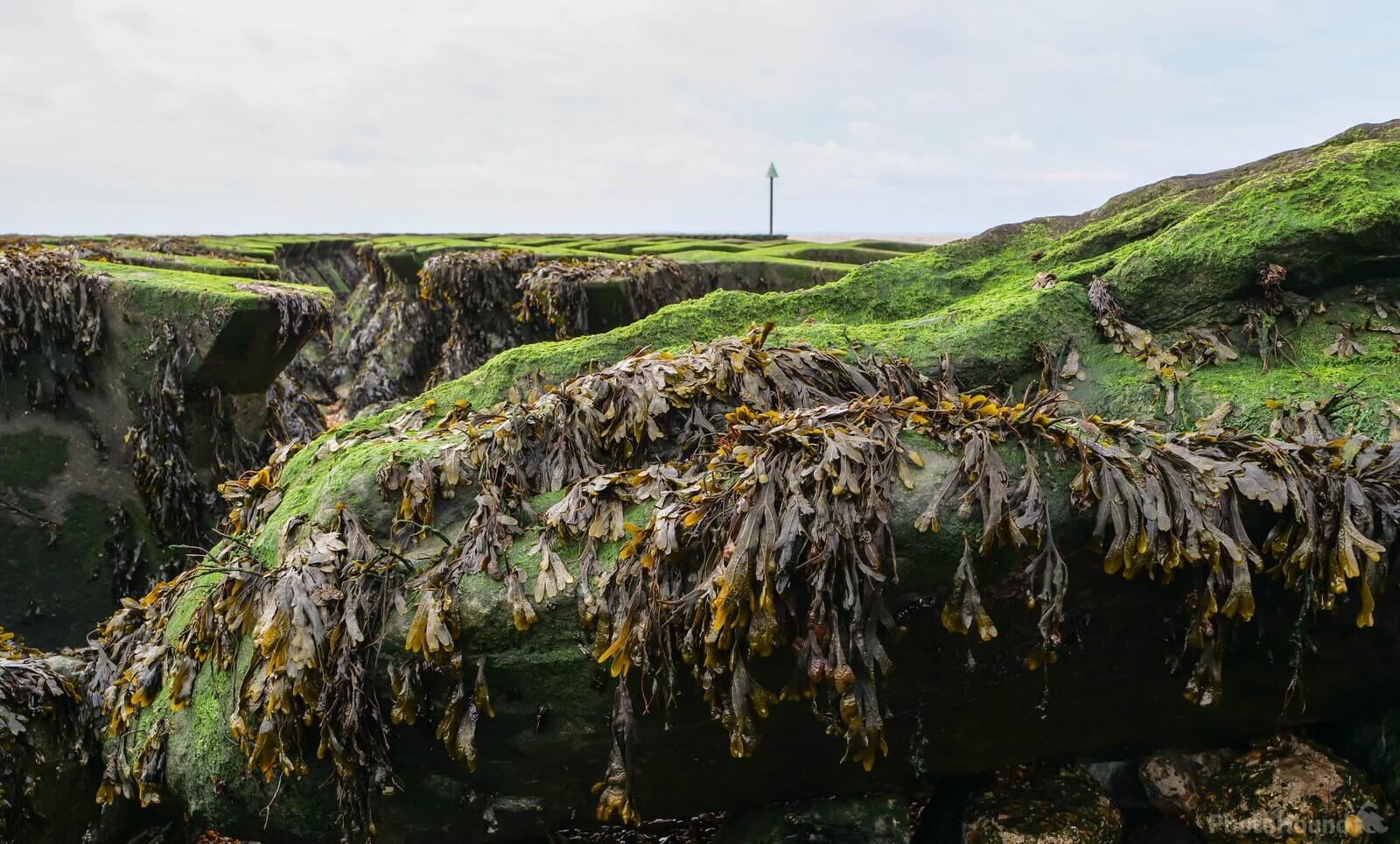 Image of Felixstowe sea defences by Carol Fiddy
