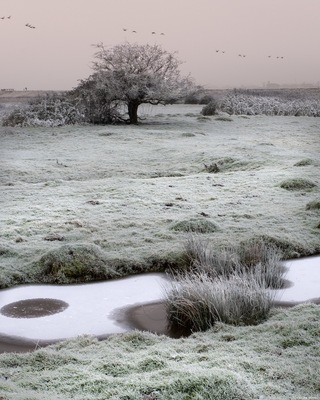 Frosty conditions in January really transform this place into a playground for images. 
