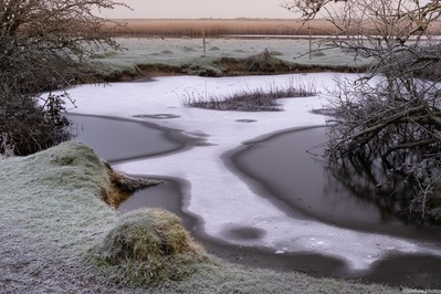 Another frosty morning shot. I was drawn to this image purely my the frost on the frozen pond and the approaching warm light in the background.