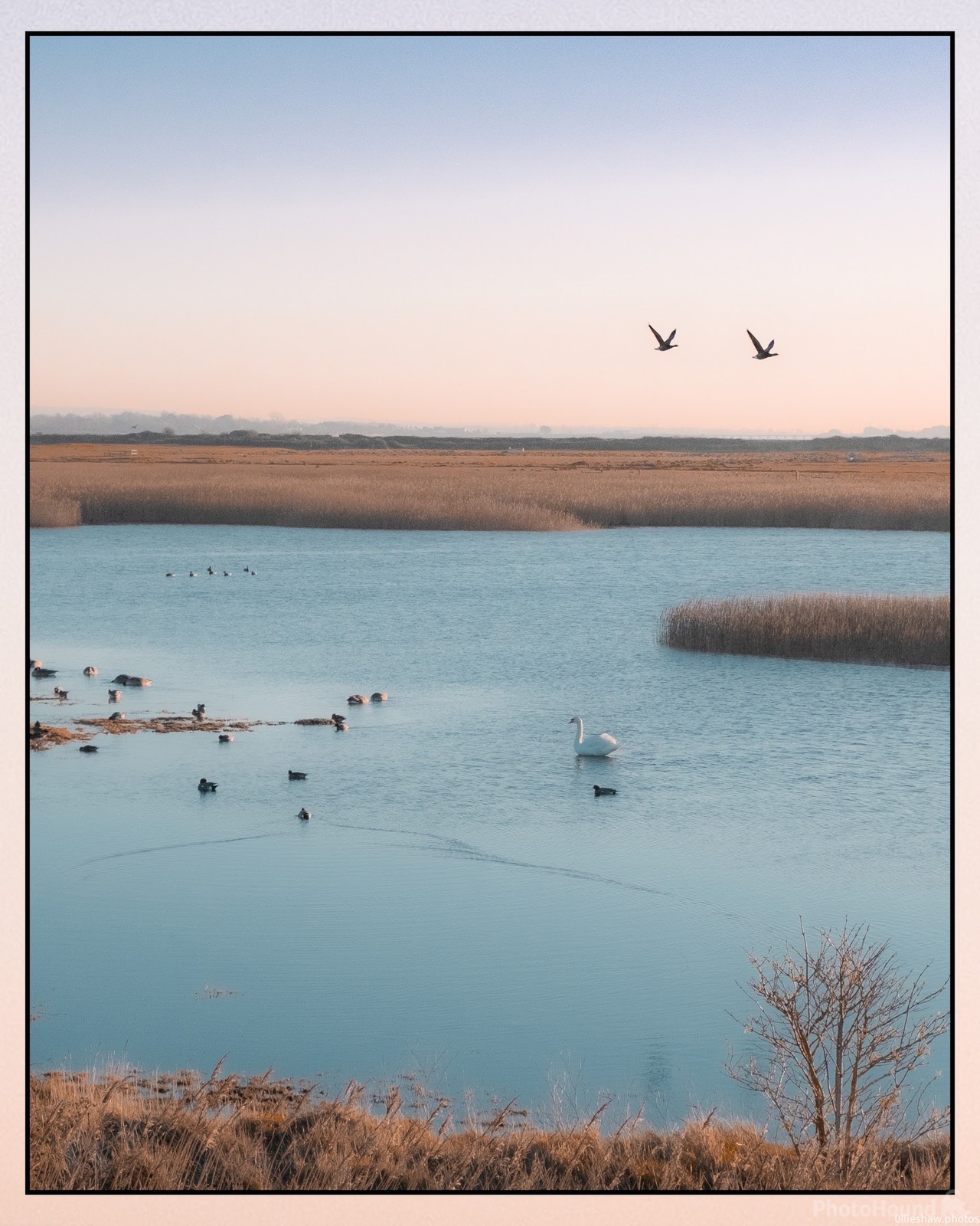 Image of Farlington Marshes Nature Reserve by Ollie Shaw