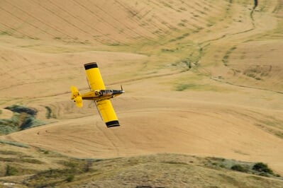 images of Palouse - Steptoe Butte