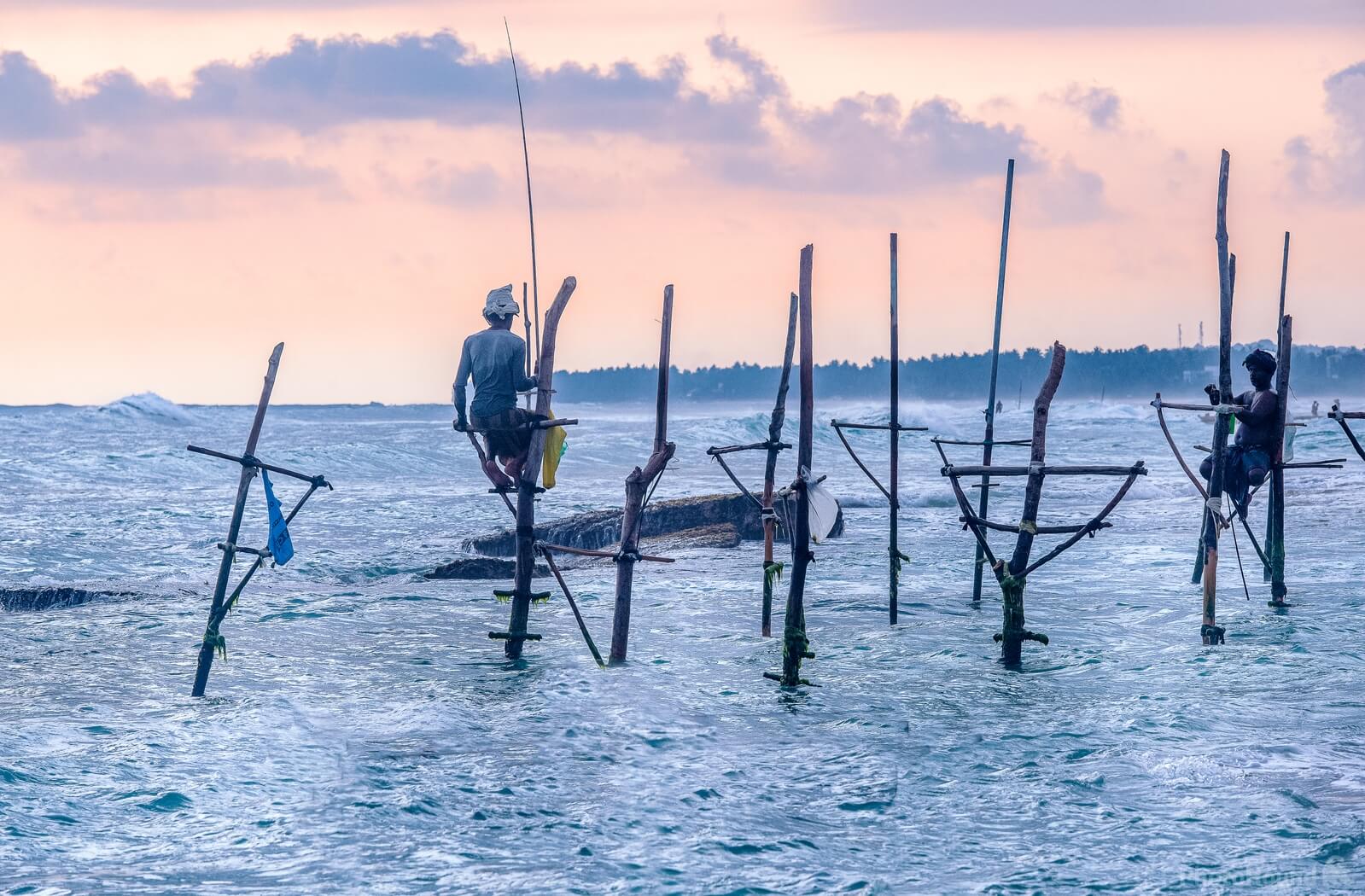Image of Stilt fishing (Koggala) by Anas Qarman