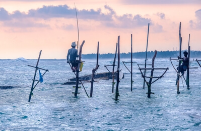 Sri Lanka pictures - Stilt fishing (Koggala)