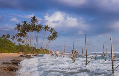 photos of Sri Lanka - Stilt fishing (Koggala)