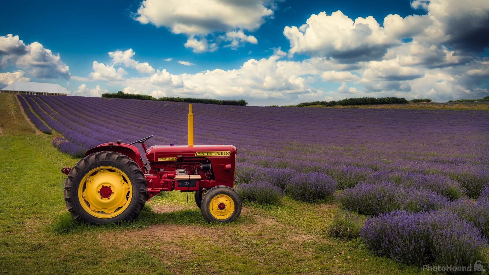 Image of Lordington Lavender Field by Jakub Bors