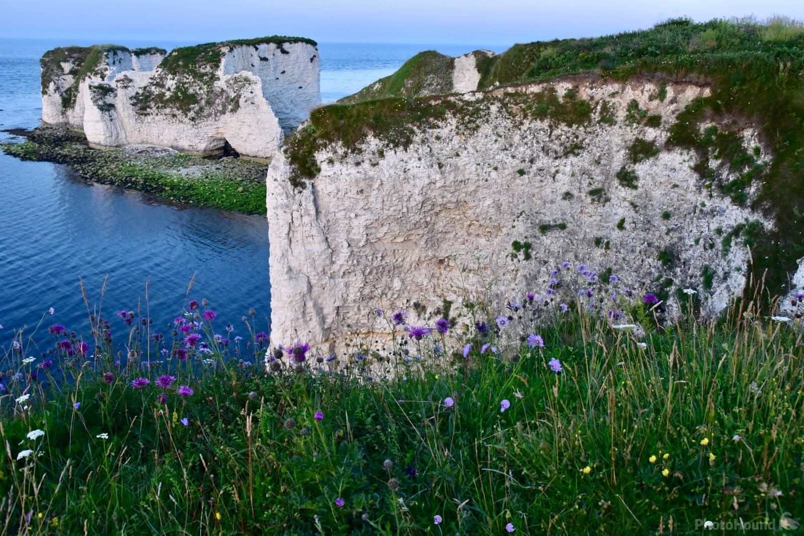 Image of Old Harry Rock by Carolyn Eyles
