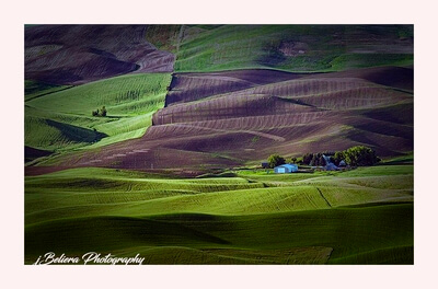 images of Palouse - Steptoe Butte
