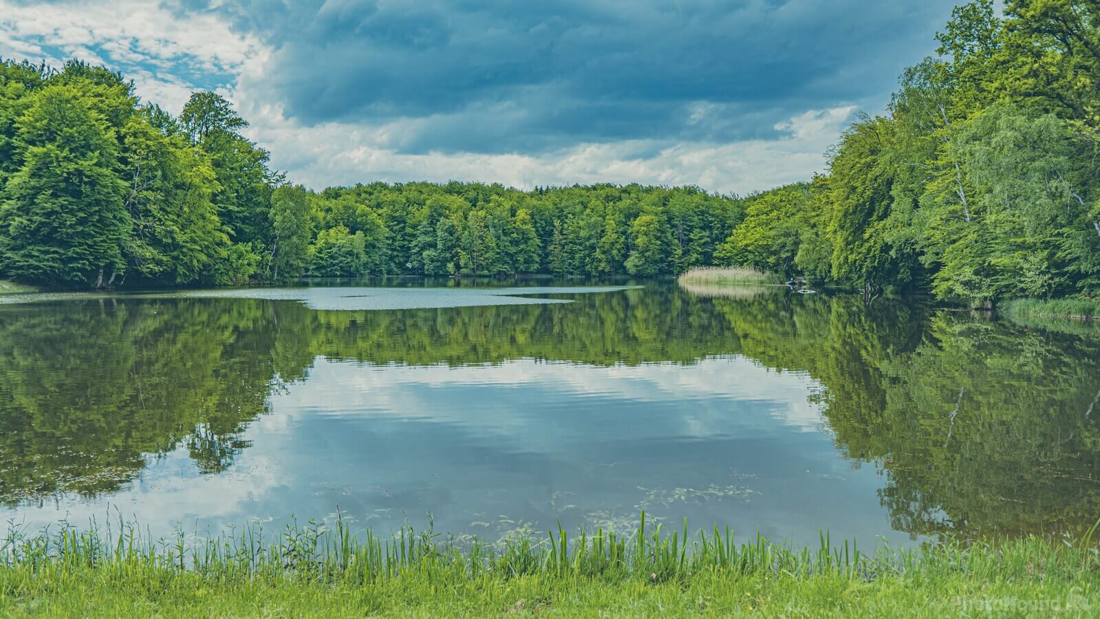 Image of Goplanica Lake by Klaudia Osmólska