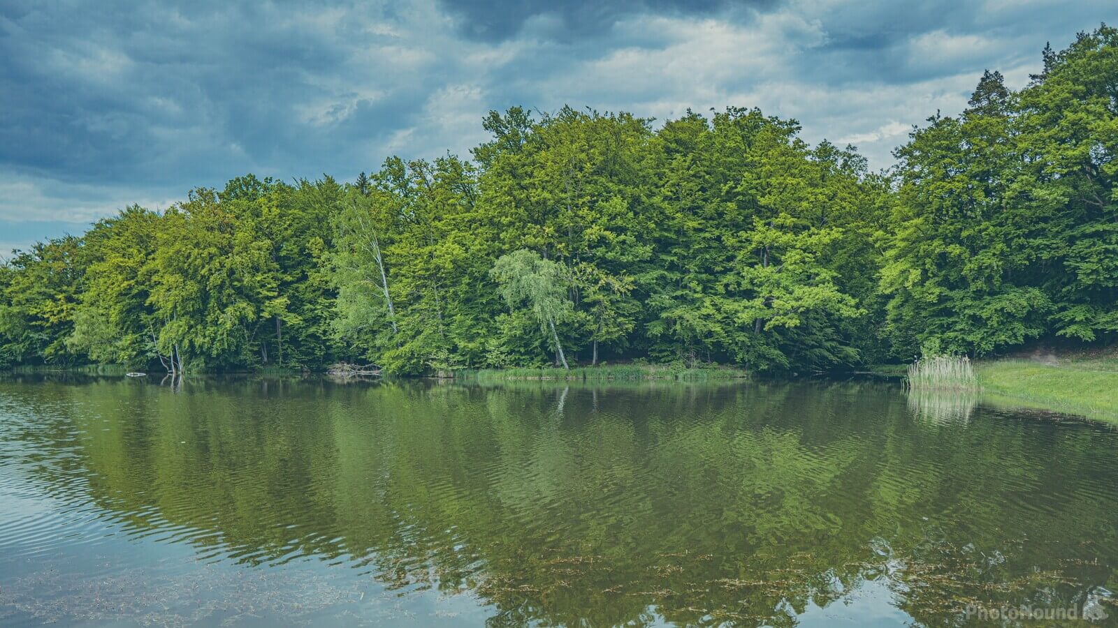 Image of Goplanica Lake by Klaudia Osmólska