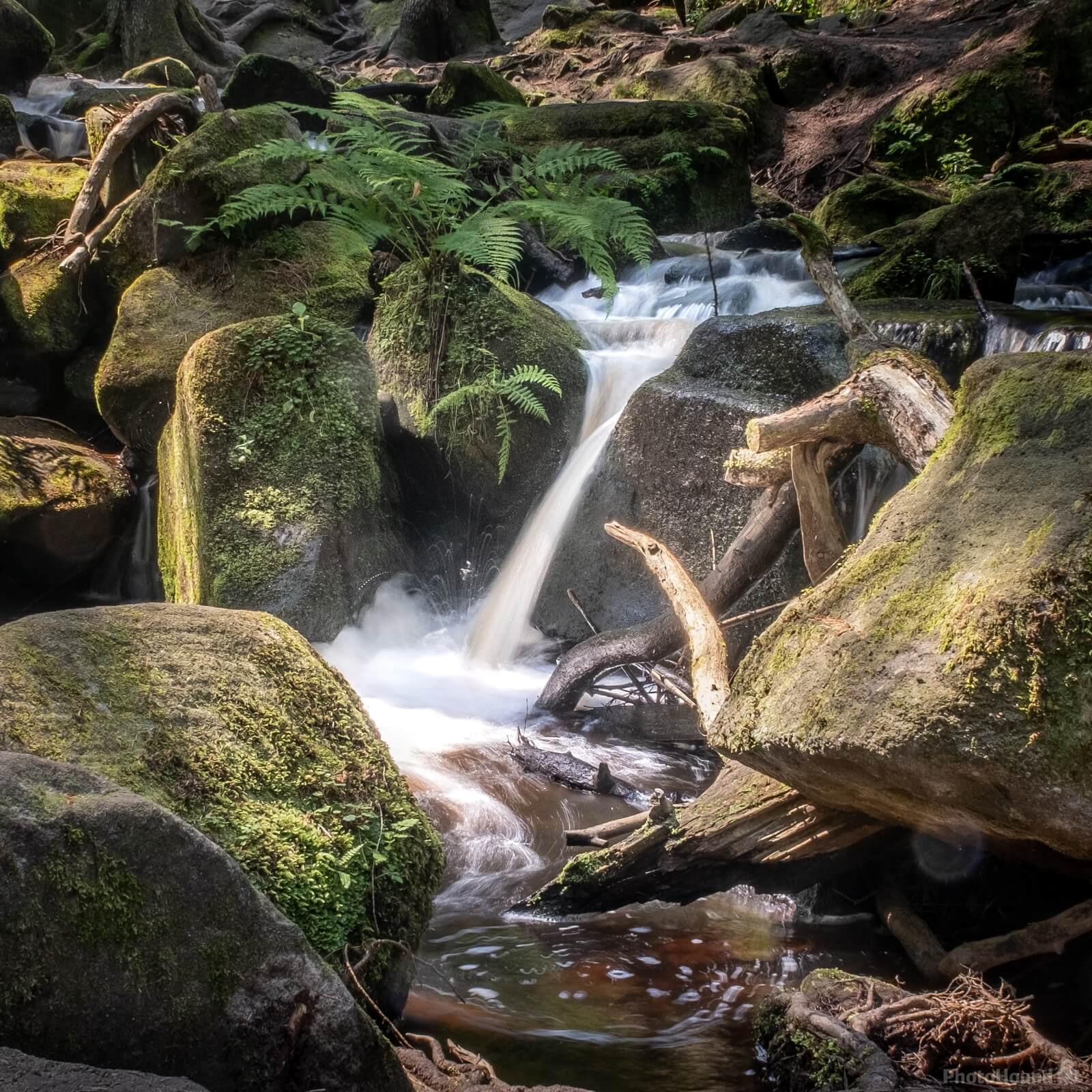 Image of Wyming Brook by Ollie Shaw