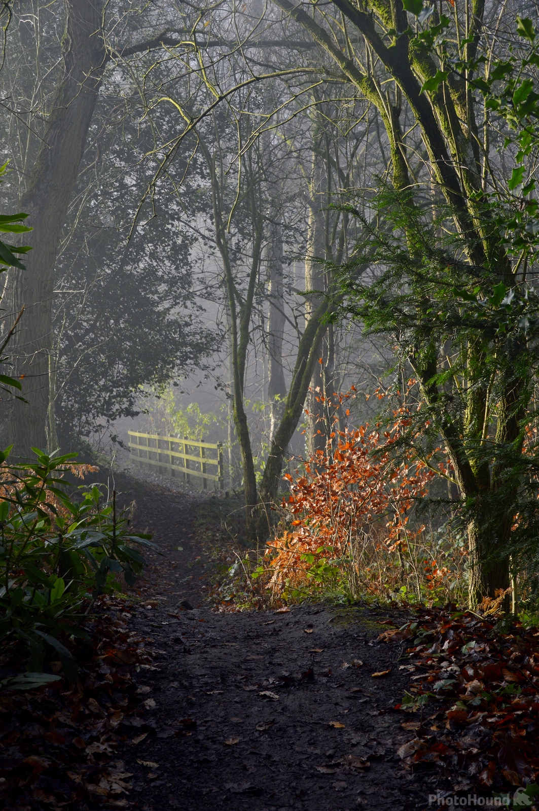 Image of Greenway Bank Country Park by Philip Eptlett