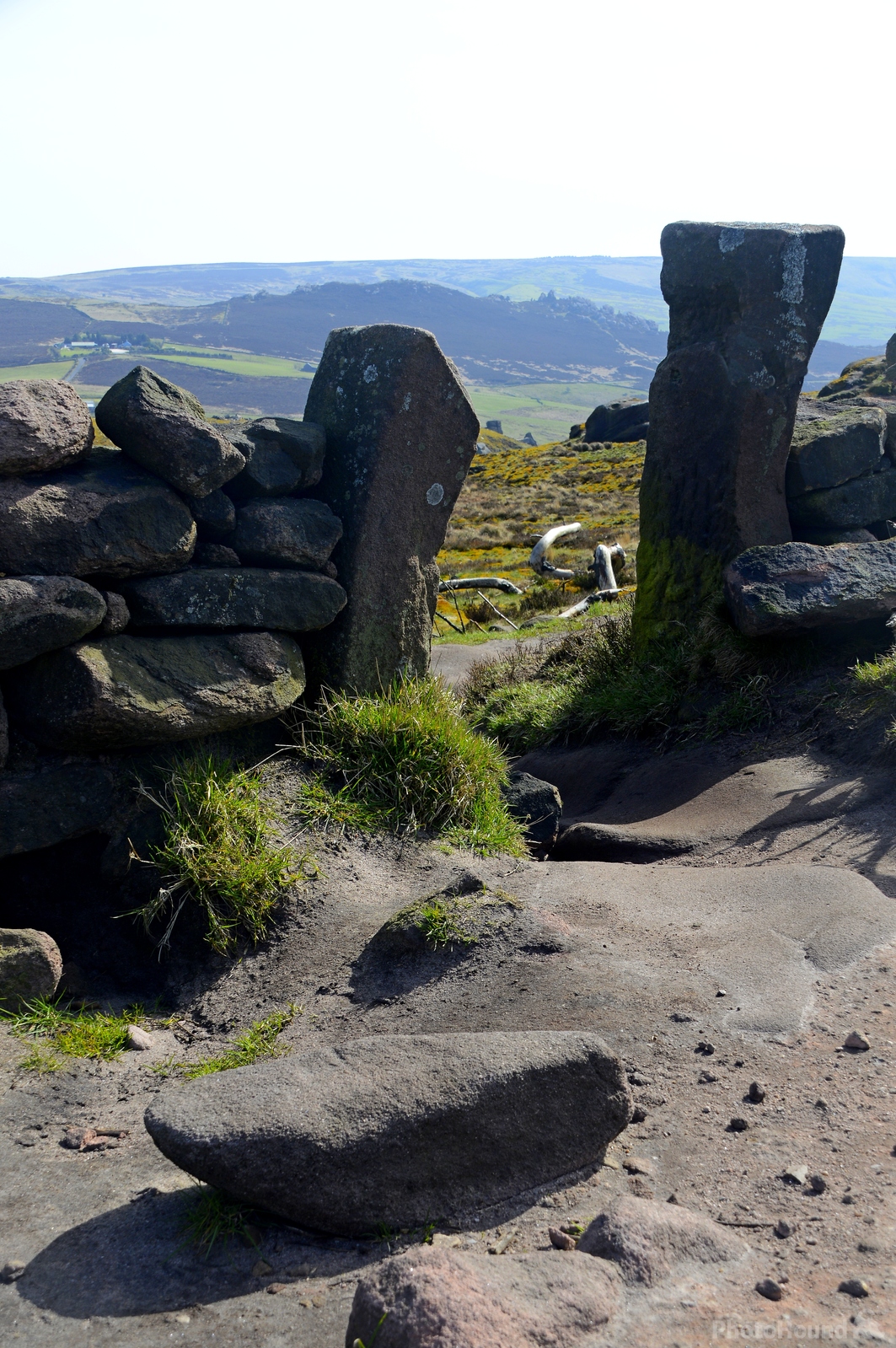 Image of The Roaches by Philip Eptlett