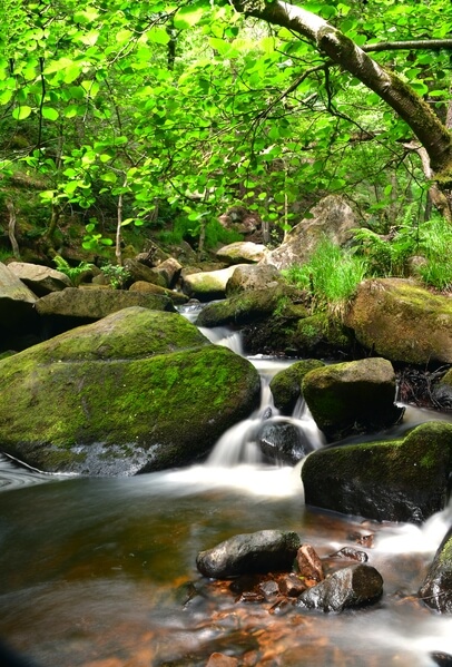 Padley Gorge is a superb location any time of the year. This shot taken in July when the water flow is relativaly low.