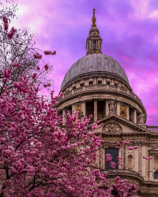pictures of London - Carter Lane Gardens - St Pauls Cathedral Viewpoint