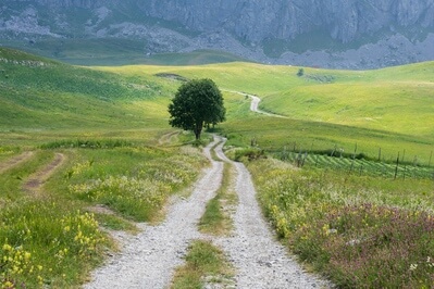 instagram spots in Montenegro - Lukavica Plateau - Road to Kapetanovo Lake