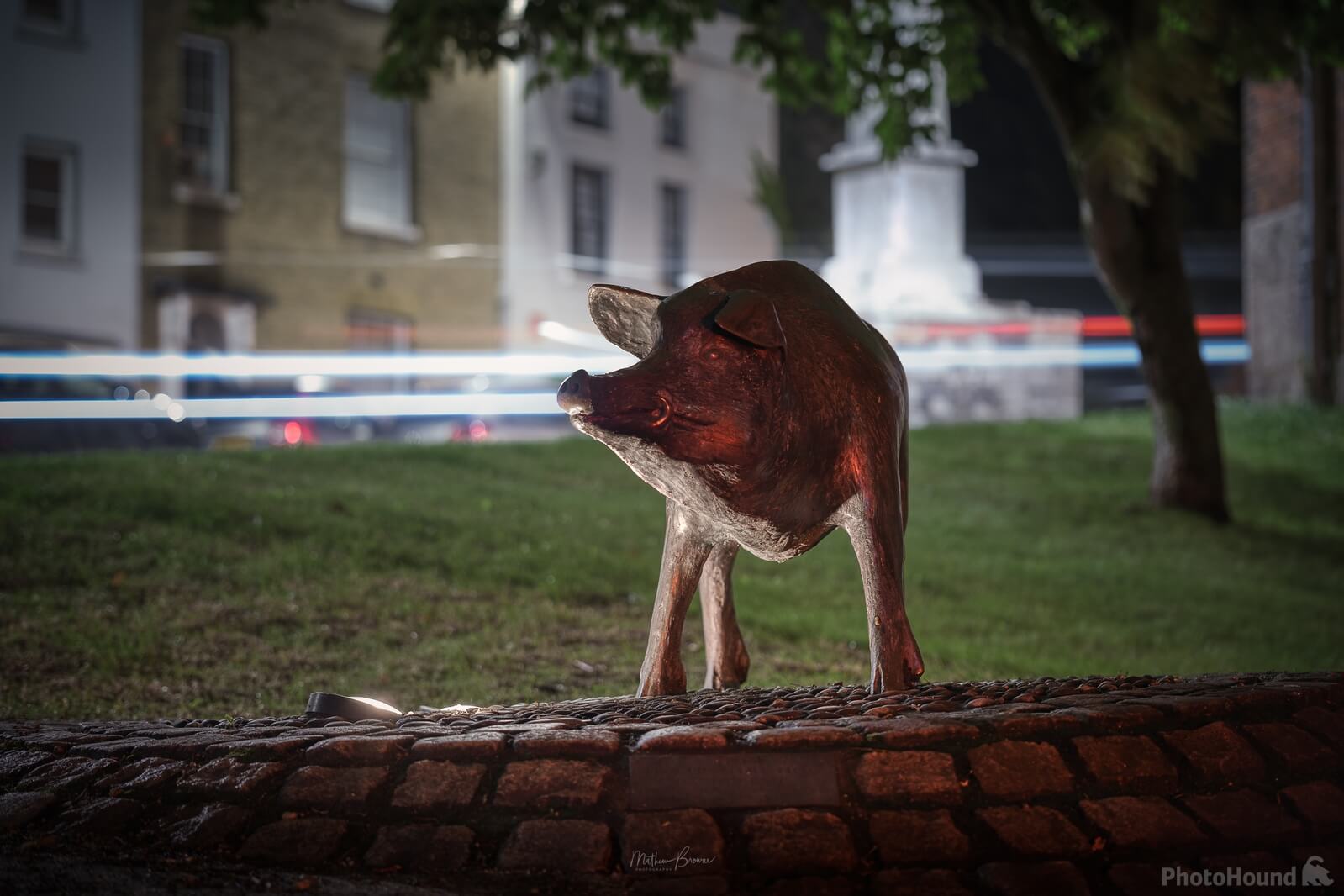 Image of The Hampshire Hog by Mathew Browne