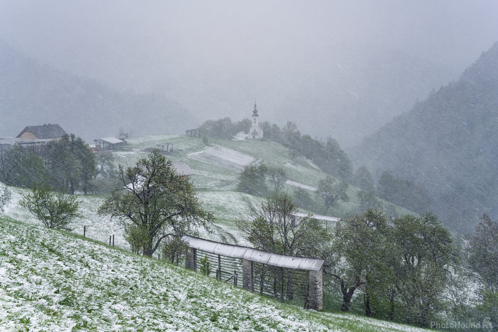 Image of Spodnje Danje - Village View by Luka Esenko
