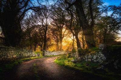photography spots in Scotland - Old Lyndale Farm Road