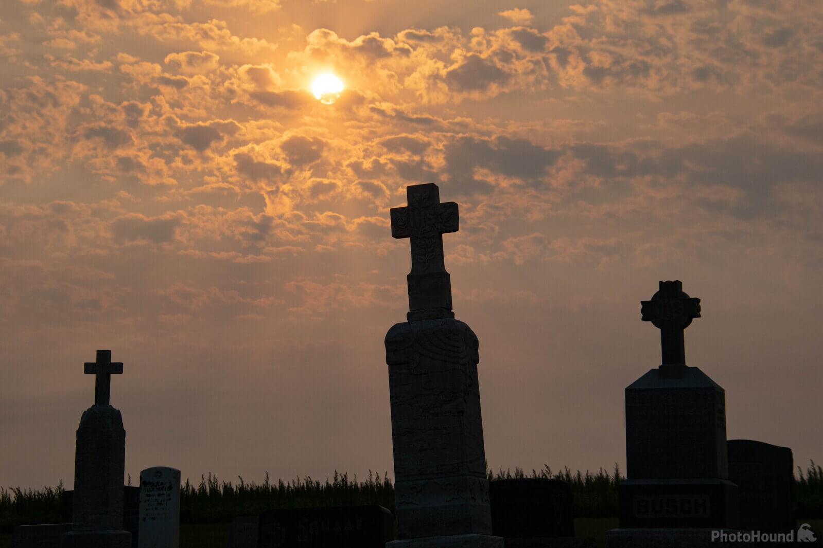 Image of Saint Gall Cemetery by Nathan Baker