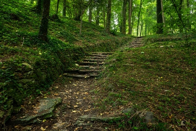Small path descending towards the pond in the Opočno Castle park