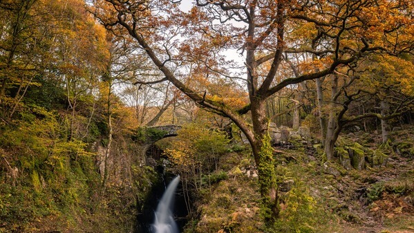 Aira Force waterfall viewed from the steps that lead away from the bottom of the falls.