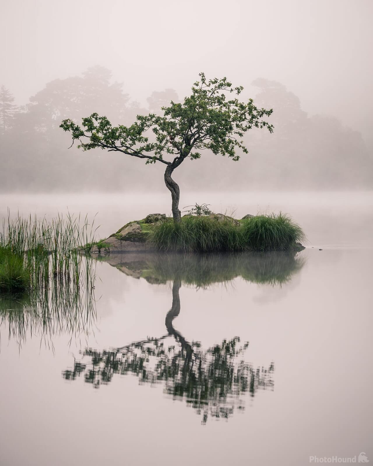 Image of Rydal Water, Lake District by Chris Sale