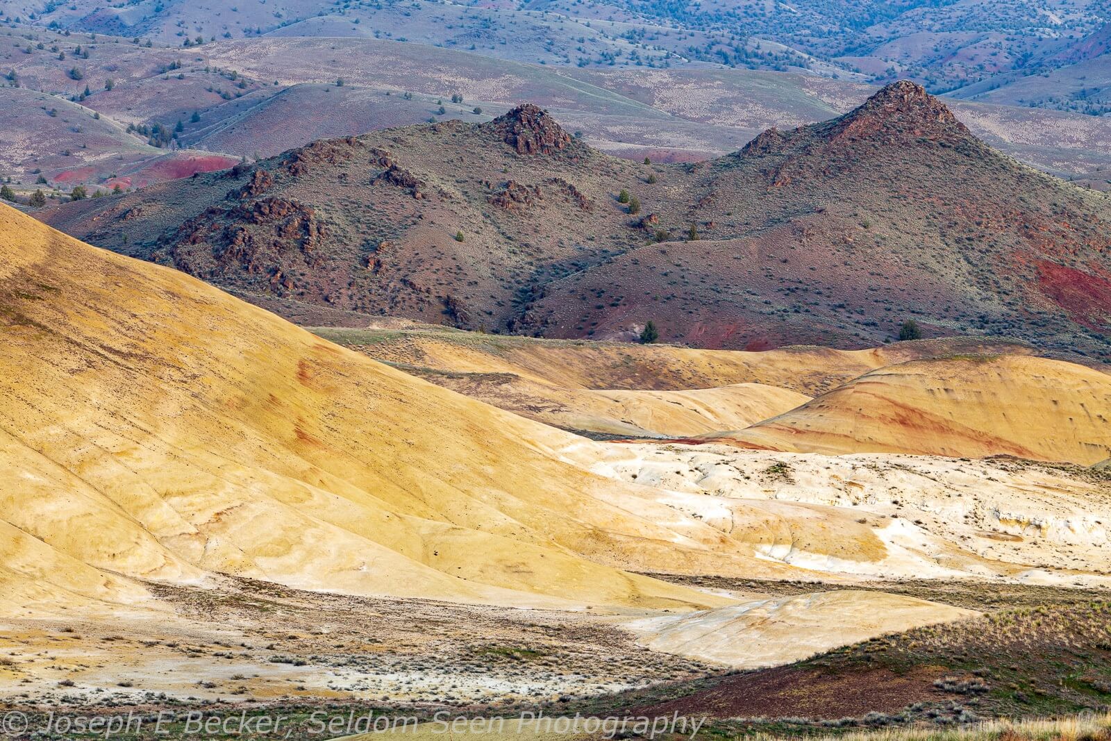 Image of Painted Hills Overlook Trail by Joe Becker