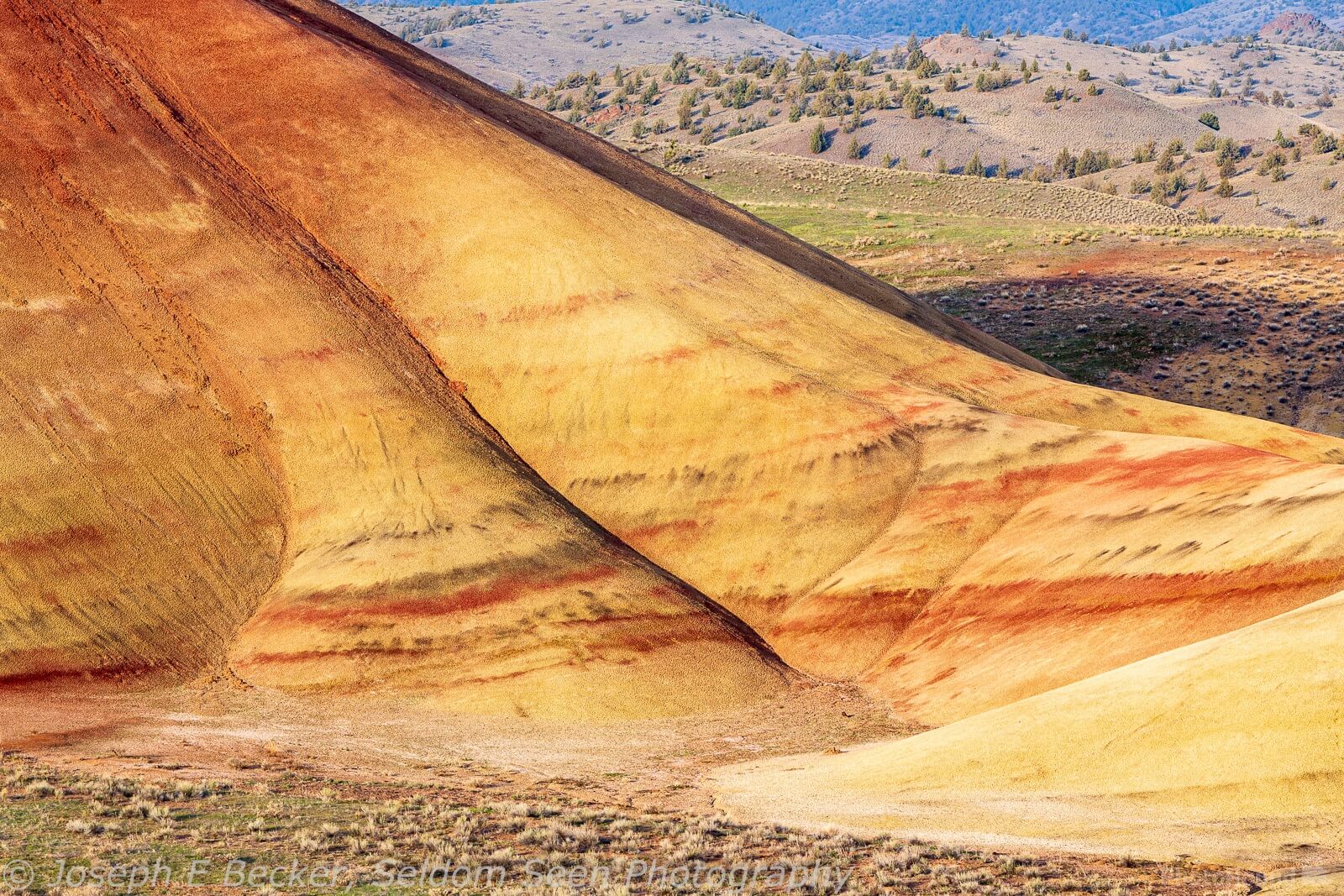 Image of Painted Hills Overlook Trail by Joe Becker