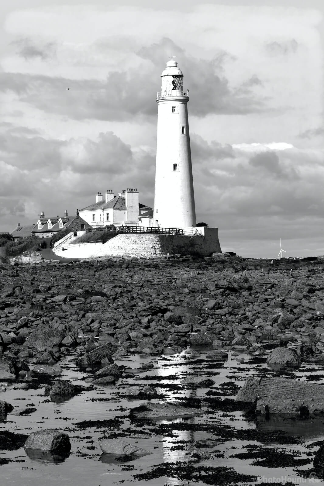 Image of St Mary\'s Lighthouse & Causeway by Philip Eptlett