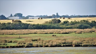 Inland view over the marshes towards Pennington